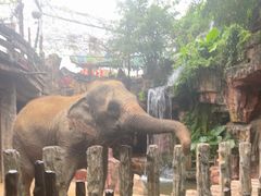 -长鹿旅游休博园
