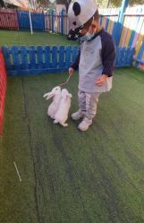 -萌宠亲子动物乐园(槐房万达店)