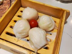 悦满楼虾饺皇-悦满楼·西关名点·湛江名菜(航空综合大厦店)