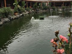 -大门水乡·顺德菜