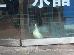 -雪园小吃部(天桥商场店)