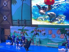 -石家庄市动物园