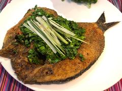 -香巴拉云南餐厅(华莱坞店)