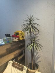 -嘉禾舞社·街舞培训工作室