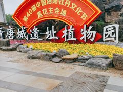 -洛阳市隋唐城遗址植物园