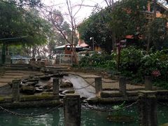 -成都市活水公园