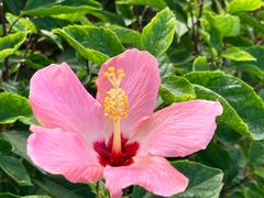 -恩宁刘福记(东华东路店)