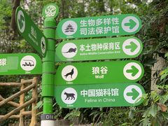 -红山森林动物园
