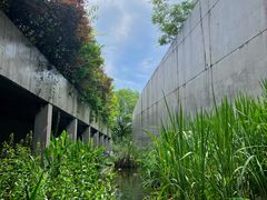 -中国湿地博物馆