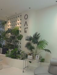 -OAE日式皮肤管理お肌の
