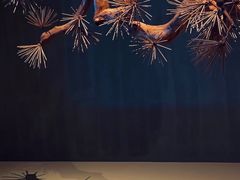 -春熙台韩国料理·章鱼肥牛(西丽店)