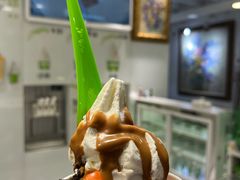 -Salud撒露欧洲冻酸奶(798艺术区店)