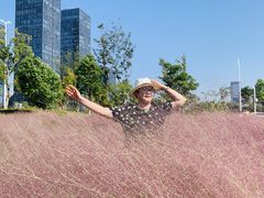 -映月湖中央公园