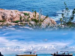 -广东惠东海龟国家级自然保护区