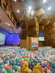 -卡通尼·Safari非洲探索乐园·生日会(金桥国际商业广场店)