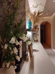 -依霖 艺术 SPA