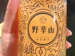 -野萃山·潮汕厚果汁(十亩地店)