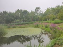 -东郊湿地公园