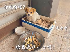 -临江后街鳝丝(临江店)