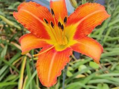 -南通博物苑-崇川人民公园