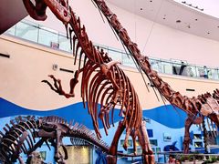 -陕西自然博物馆