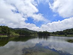 -海南热带雨林国家公园吊罗山景区