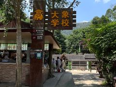 -野象谷景区