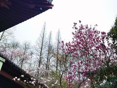-达蓬山旅游度假区