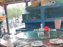 -东鸽皇(奥园·中环广场店)