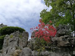 -上海鲜花港