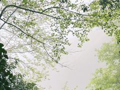 -江郎山风景名胜区