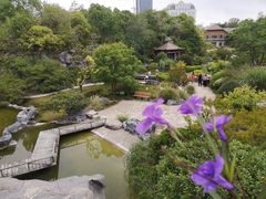-上海吴淞炮台湾国家湿地公园
