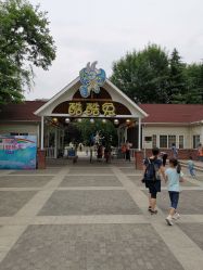 -酷酷兔少儿拓展天地