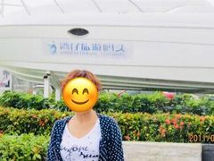 -澳门环岛游湾仔码头