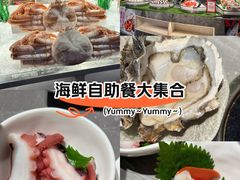 -Mr.Fish鱼鲜生海鲜放题(高德置地冬广场店)
