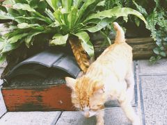 -知亘茶食
