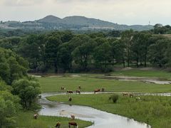 -库伦旗银沙湾旅游景区