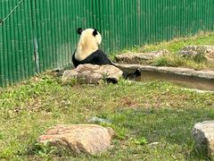 -沈阳森林动物园