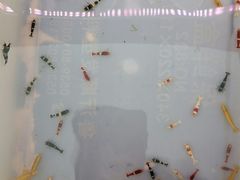 -华声天桥民俗文化园