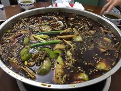 -邱氏胖泥鳅(大堰店)