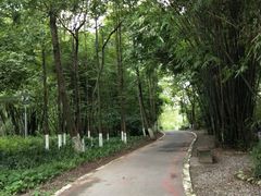 -桤木河湿地公园