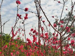 -白水带风景区体育公园