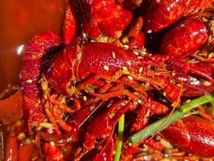 -馋嘴猫北京食堂·烤鸭·宵夜(亚运村店)