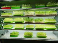 -番食园鲜食火锅(高新店)