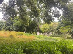 -范蠡湖公园