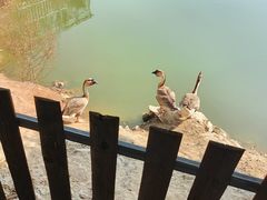 -溪悦渔庄(九龙湖店)