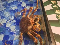 -老伙记海鲜码头(北滘店)