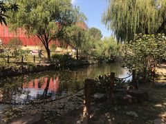 -上海财经大学(国定路校区)