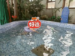 -大连金石滩绿发温泉假日酒店