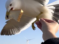 -那香海钻石沙滩浴场